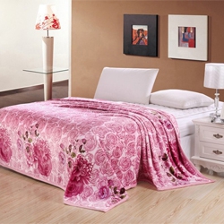 顶级加厚法莱绒毯子法兰绒金貂绒毛毯冰貂绒珊瑚绒休闲毯冬用床单