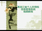 黑龙江省个人所得税信息管理系统视频教程