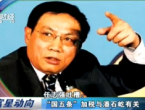 任志强吐槽：“国五条”加税与潘石屹有关